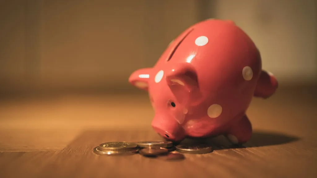 独身が理想的な貯金額を達成するための計画