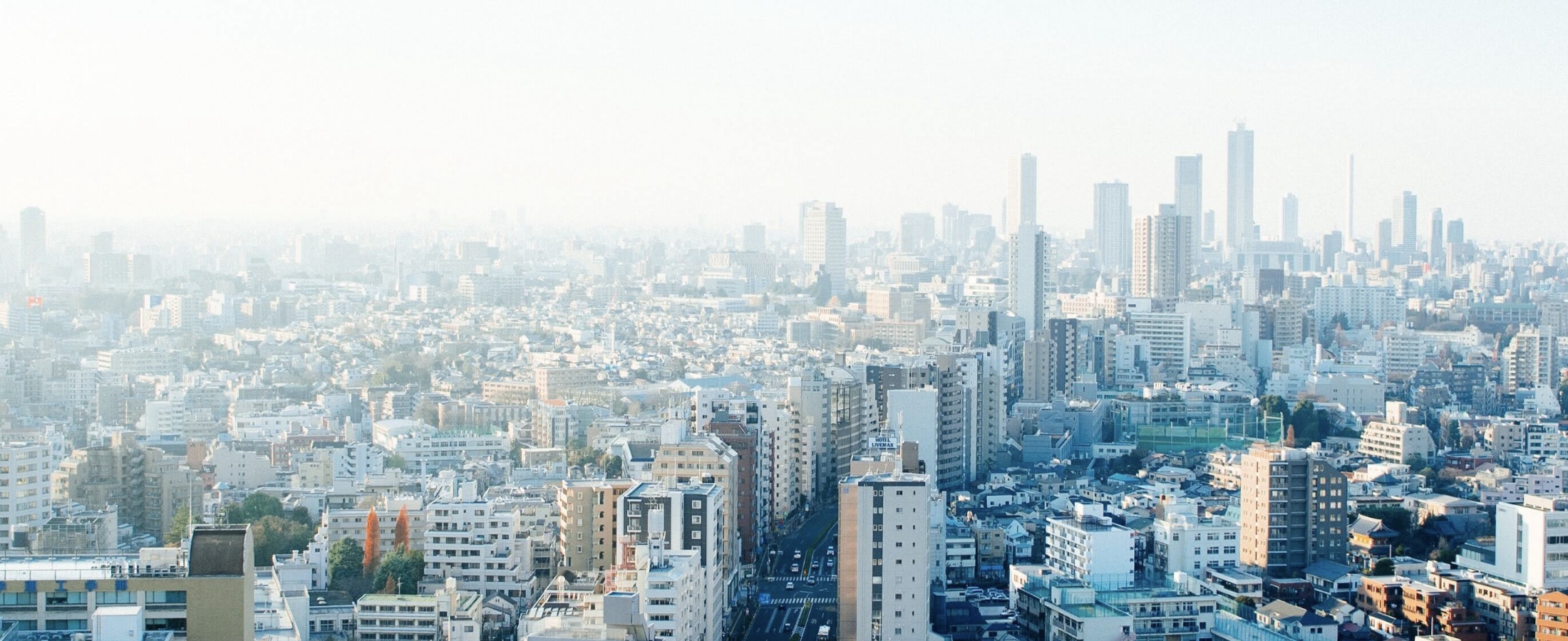 代表からの手紙