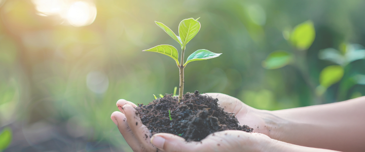 計画を持ち、小さな実践を積み重ねることで、不安や恐れが減り、自分らしく生きる力が育ちます。