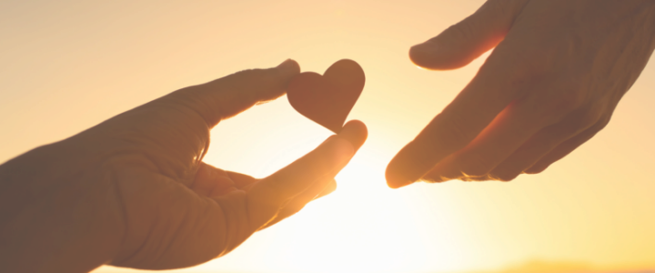 社会への開放（寄付・ボランティア）